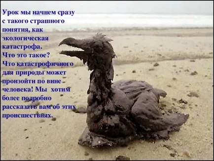 Какво е екология представяне Какво е екология представяне