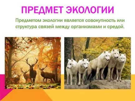 Какво е екология представяне