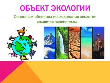 Какво е екология представяне