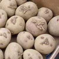 Как да съхранявате картофи