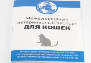 Когато за ваксиниране на котката ви
