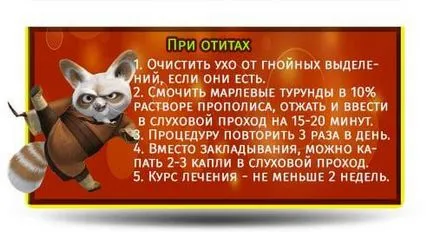 Как и какво лечение прополис