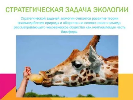 Какво е екология представяне