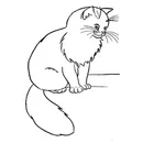 Книжки за оцветяване за деца котка