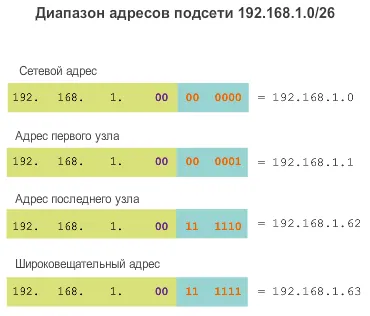 Какво е мрежа и подмрежа