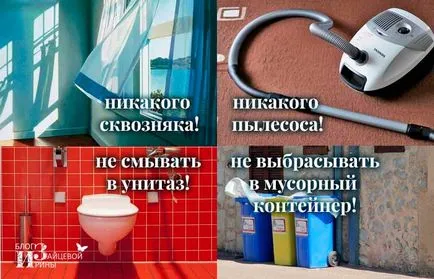 Ако термометърът е избухнала, отколкото да се събират живак