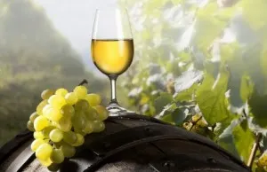 Какво е Ризлинг