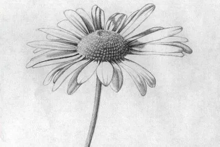 Как да нарисувате ваза с цветя