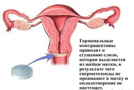 Как да приемате regividon