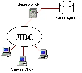 Победи го разглеждат