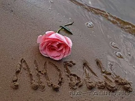 Какво правят всички мъже