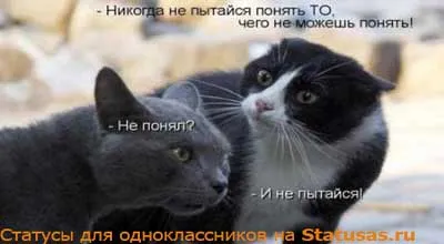 Както живот и съученици