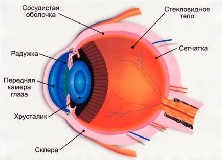 Както очите ни виждат Както очите ни виждат