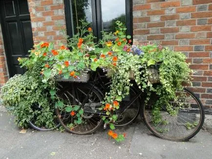 Garden украшение със собствените си ръце Garden украшение със собствените си ръце