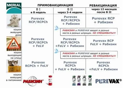 Когато за ваксиниране на котката ви