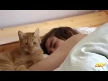 Как да се увеличи резолюцията на нетбук