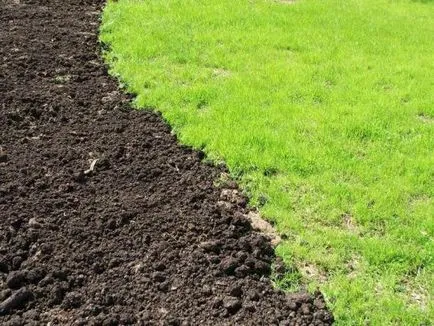 Какво е повърхностния слой на почвата Какво е повърхностния слой на почвата