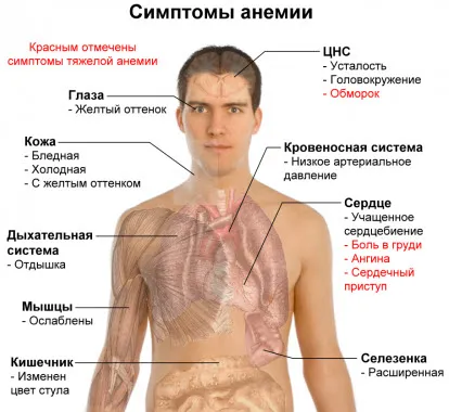 Как за лечение на анемия в дома, стимуланти хемоглобин