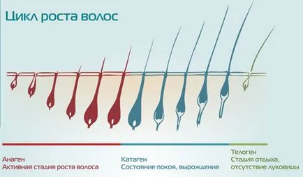 Как да се отървем от нежеланото окосмяване по тялото завинаги