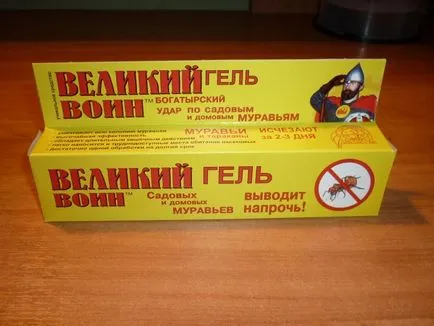 Как да се отървете от черните мравки в къщата всички методи и техните характеристики