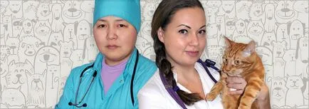 Когато котките могат да бъдат кастрирани Когато котките могат да бъдат кастрирани