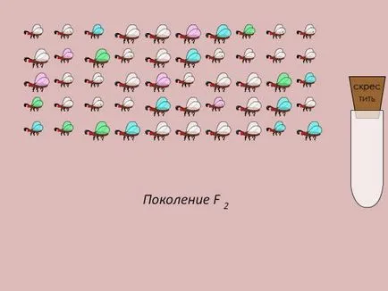 лаборатория alkvimii