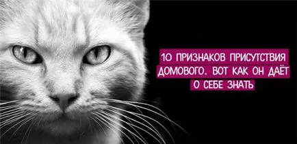 Фаталния изход от това, което