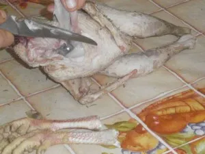 Как да се намали пилетата