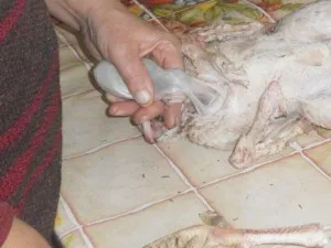 Как да се намали пилетата