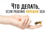 13 Причини, поради които детето ви се нуждае от брат или сестра