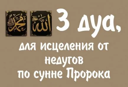 10 хадисите, които ще утеши сърцето си