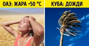 15 Дамски фрази, които поставят на момчетата в застой