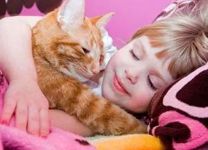 30 Забавни снимки с котки деца (деца с котки) 30 Забавни снимки на деца с котки