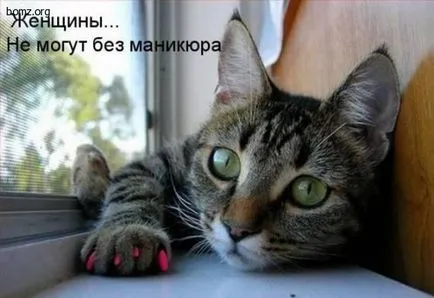 50-смешните снимки за маникюр