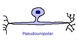 Въпрос 6