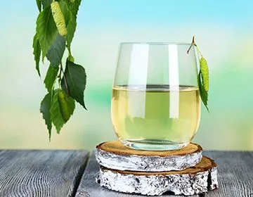 Birch SAP ползи и вреди, показания и противопоказания, рецепти