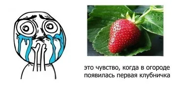 Бизнес с мотива, че растящите и продажбата на идеите