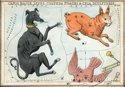 Голямо куче (съзвездието)