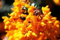 Какво очаквате от живота