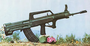 Булпъп - това