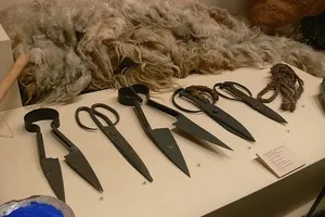 Какво и как да стриже овце ножици овце, особено използването на правилата за стригане на овце