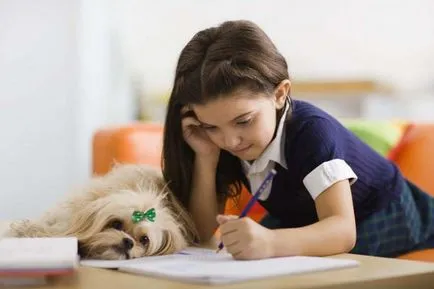 Как да напиша есе на тема 