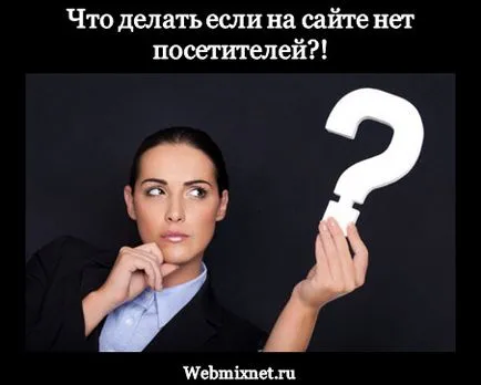 Какво да правите, ако няма посетители Блог Максима Obuhova онлайн