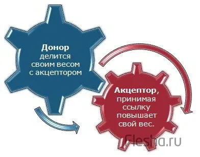 Каква е донор в SEO