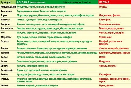 Какво да се засадят в градината