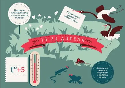 Какво се случва в природата инфографики пролет, инфографики, въпроси и отговори, аргументи и факти