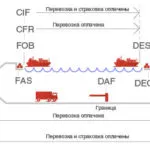 Cmr (международна товарителница) - самият вносител