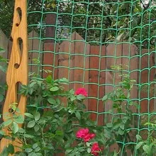 Цветна градина в страната със собствените си ръце дизайна на фото устройство и цветни лехи, как да се направи цветна градина