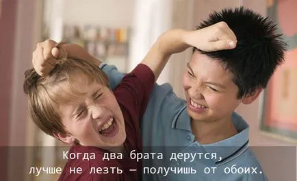 Цитати за брат ми и сестра - пословици и афоризми за брат