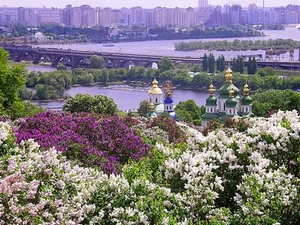 Цъфтеж описание, началото, продължителността